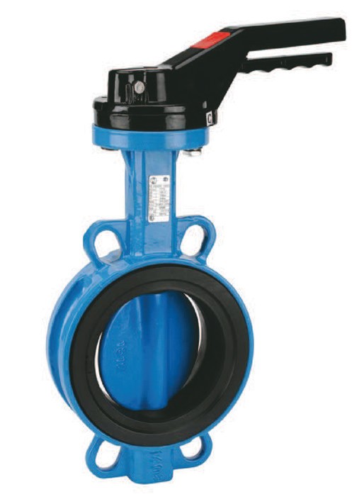 OREILLES DE CENTRAGE