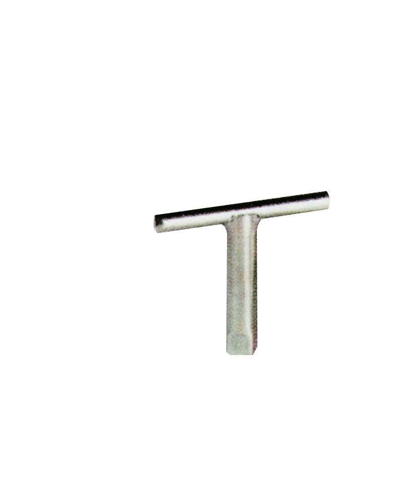 CLÉ POUR CACHE-ENTRÉE